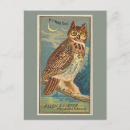 Horned Owl Postkarte