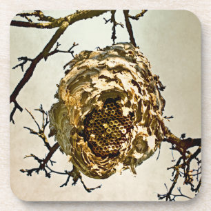 Hornet-Nest Untersetzer