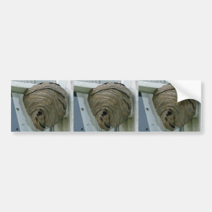 Hornets Nest Autoaufkleber