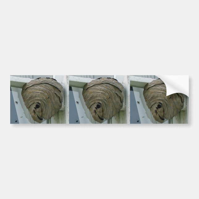 Hornets Nest Autoaufkleber (Vorne)
