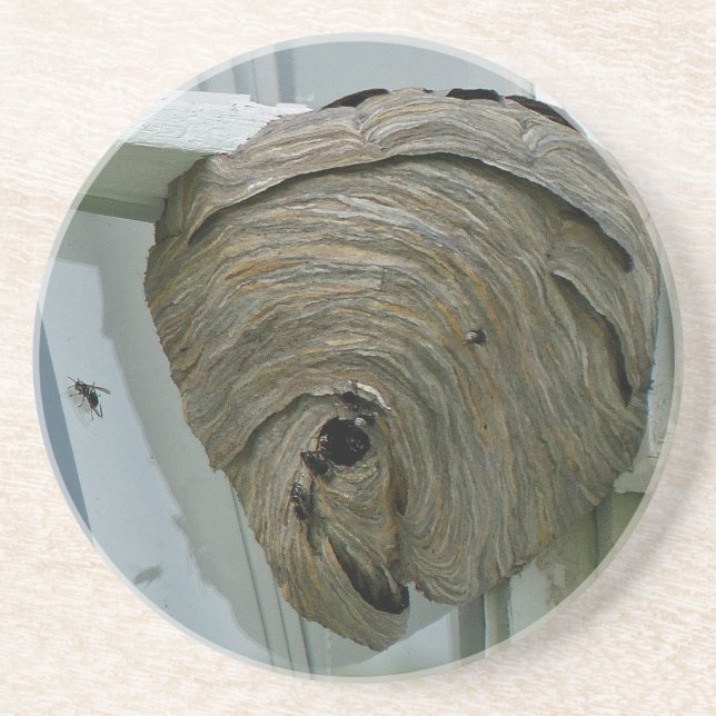 Hornets Nest Getränkeuntersetzer (Vorne)