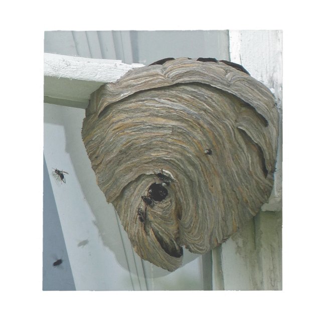 Hornets Nest Notizblock (Vorderseite)