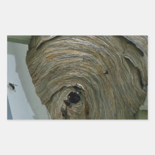 Hornets Nest Rechteckiger Aufkleber