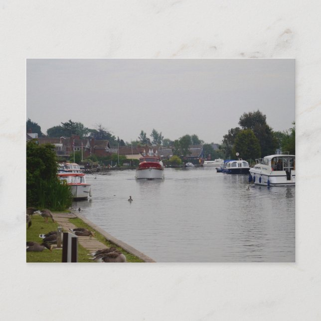Horning on the River Bure Postkarte (Vorderseite)