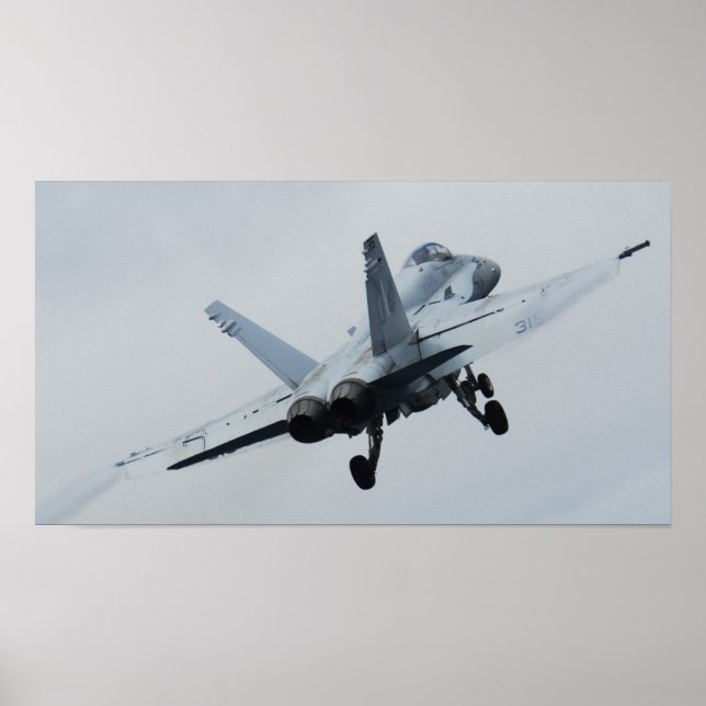 Hornisse F/A-18 Poster (Vorne)