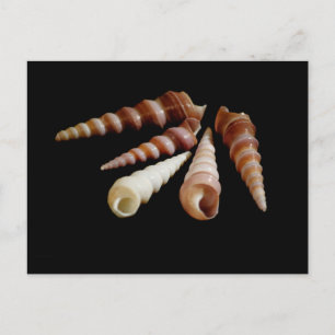 Horns Postkarte