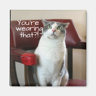 Horrified Cat Magnet