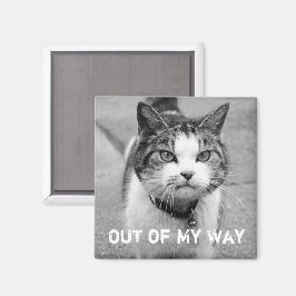 "Hors de mon chemin" Crabby Cat Magnet