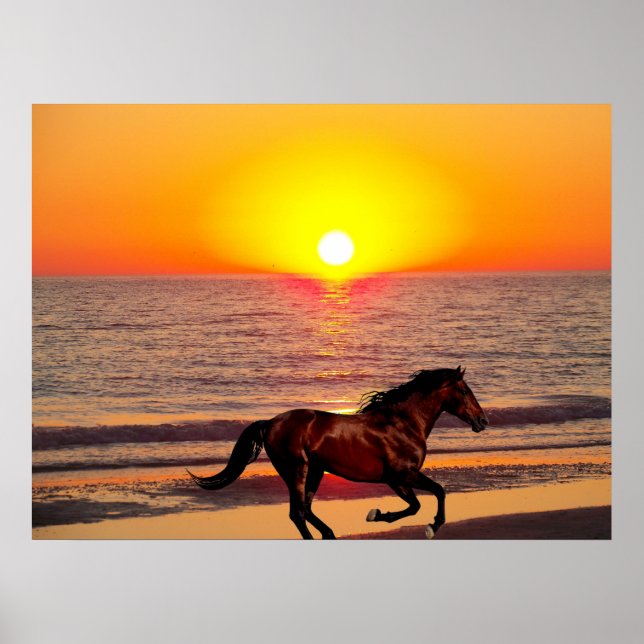 Horse at Sunset Poster (Vorne)