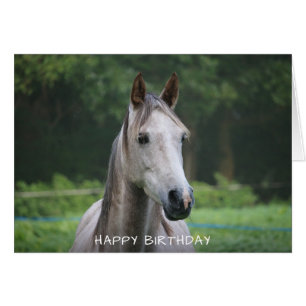 Horse Bonne Carte d'Anniversaire