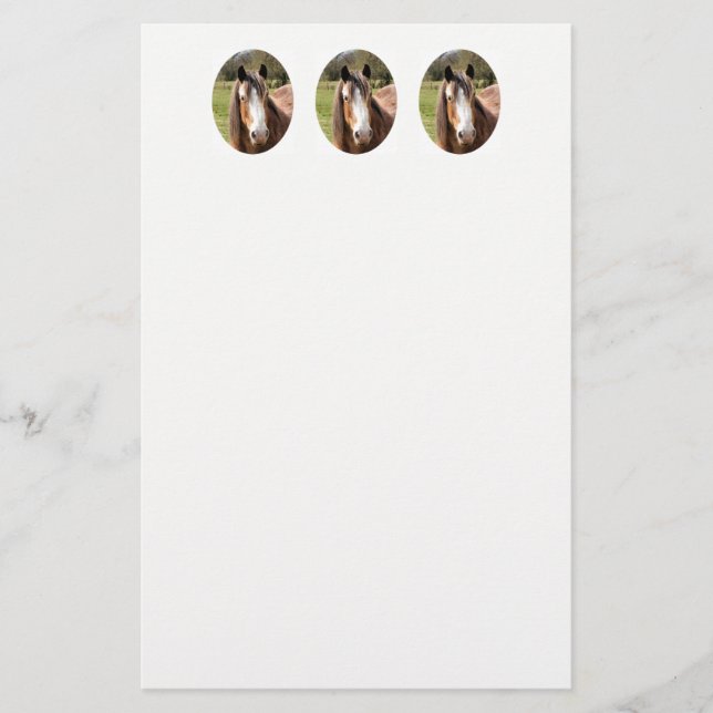 HORSE BRIEFPAPIER (Vorderseite)
