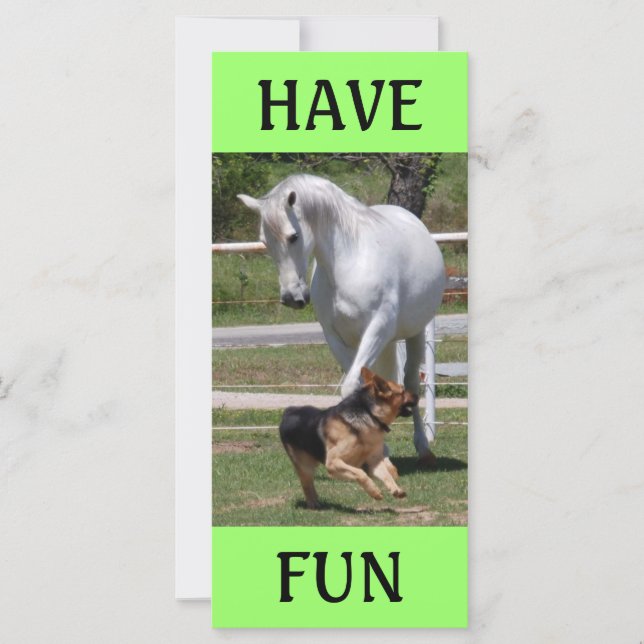 HORSE & DOG PLAY (Vorderseite)