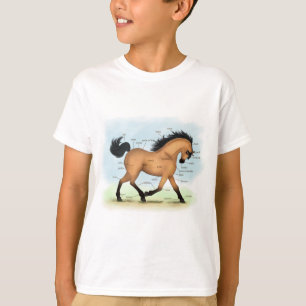 Horse Educational Equine Anatomie T-Shirt