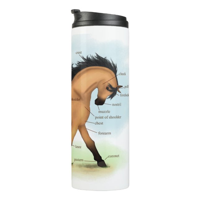 Horse Educational Equine Anatomie Thermosbecher (Nach rechts gedreht)