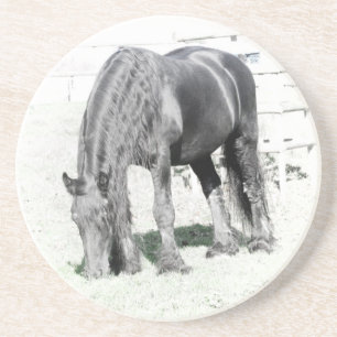 Horse Friesian Stallion Tierart Schwarz-weiß Sandstein Untersetzer