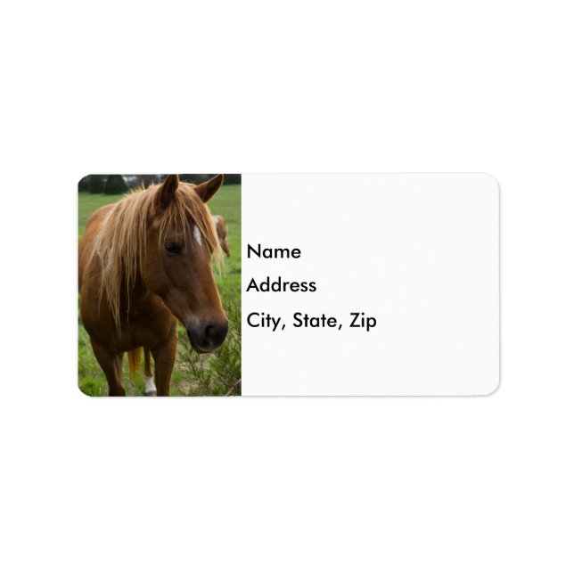 Horse Hello Adressaufkleber (Vorne)