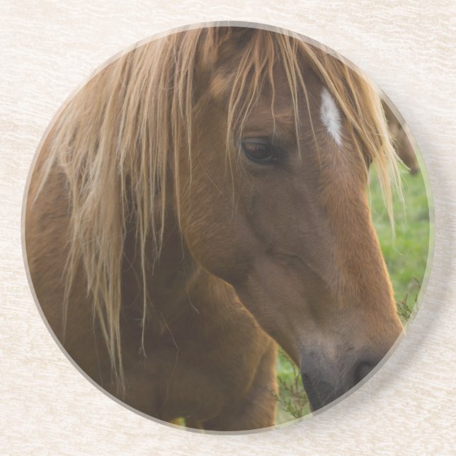 Horse Hello Getränkeuntersetzer (Vorne)