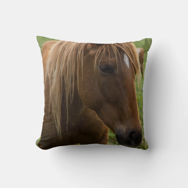Horse Hello Kissen (Vorderseite)