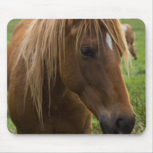 Horse Hello Mousepad