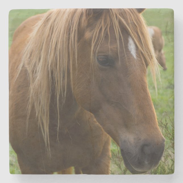 Horse Hello Steinuntersetzer (Vorderseite)