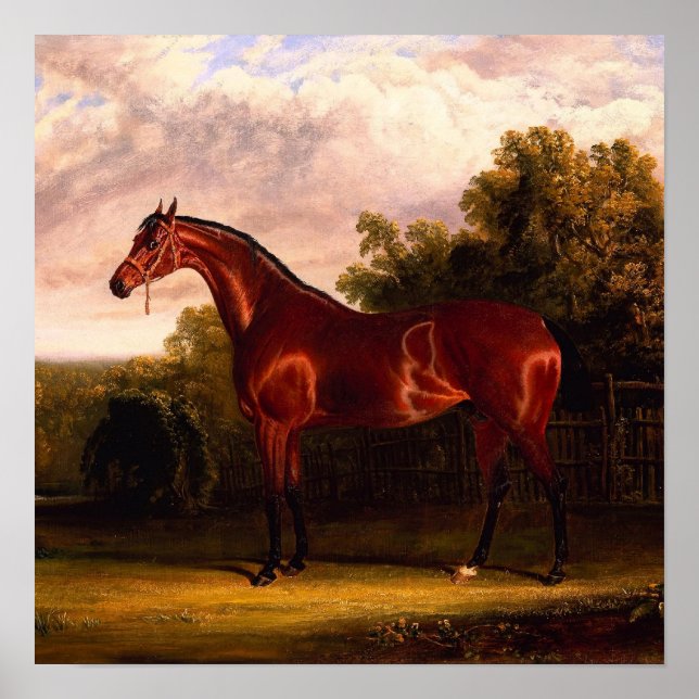 Horse In A Landscape Poster (Vorne)