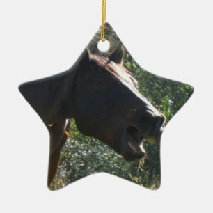 Horse in Autumn Keramikornament