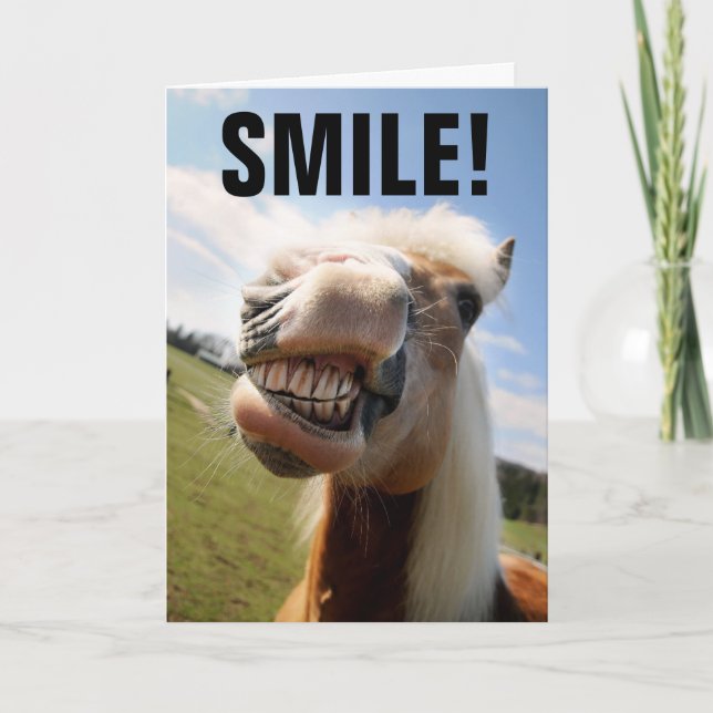 HORSE LOVER FUNNY BIRTHDAY GREETING CARDS KARTE (Vorderseite)