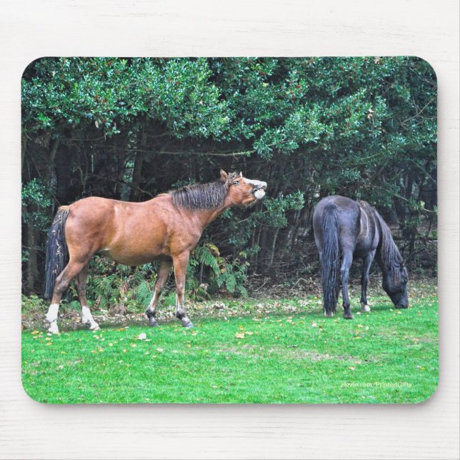 Horse-lover's Beautiful Equine Animal Design Mousepad (Vorne)