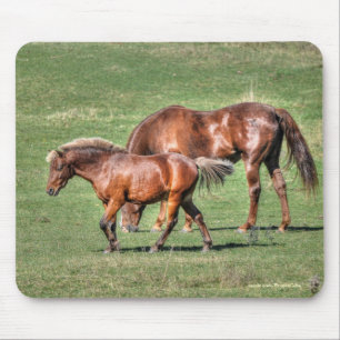 Horse-lover's Beautiful Equine Animal Design Mousepad
