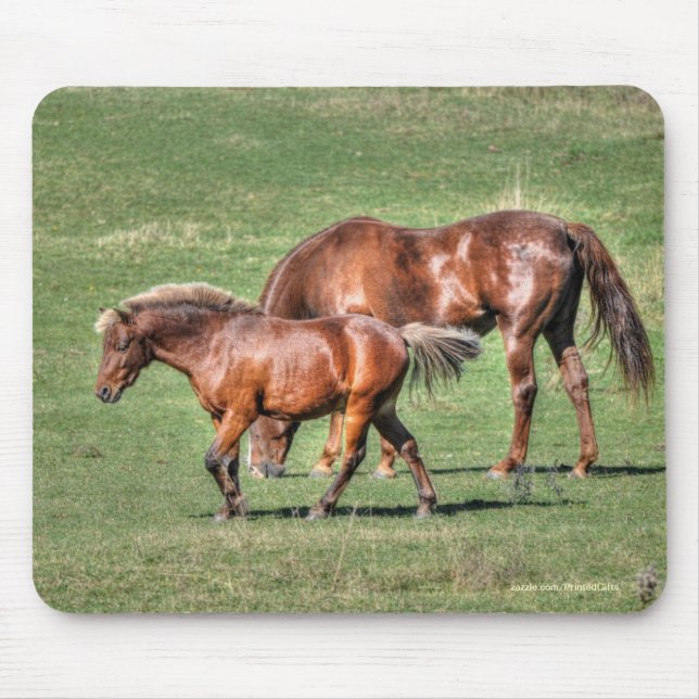 Horse-lover's Beautiful Equine Animal Design Mousepad (Vorne)