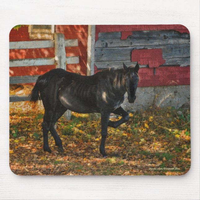 Horse-lover's Beautiful Equine Animal Design Mousepad (Vorne)