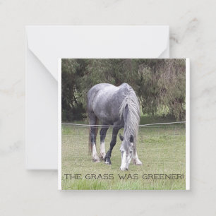 Horse 'n clôture ! carte postale