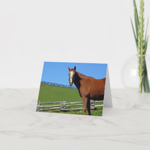 Horse Note Card Karte