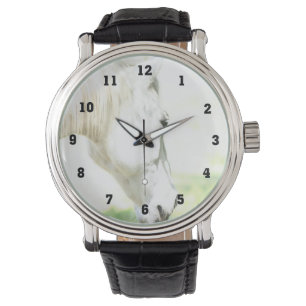 Horse Photography Montres