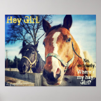 Horse Poster: "Hey Mädchen." Poster