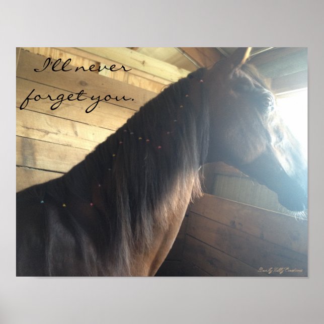 Horse poster: "I'll Never Forget You." Poster (Vorne)