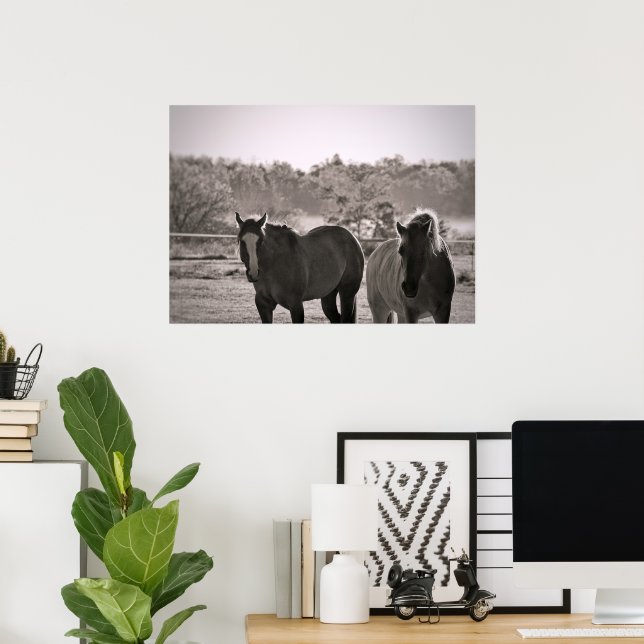 Horse Poster Photography (Heimbüro)