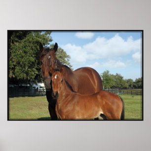 Horse Royale Poster -60x40 -klicken für kleinere