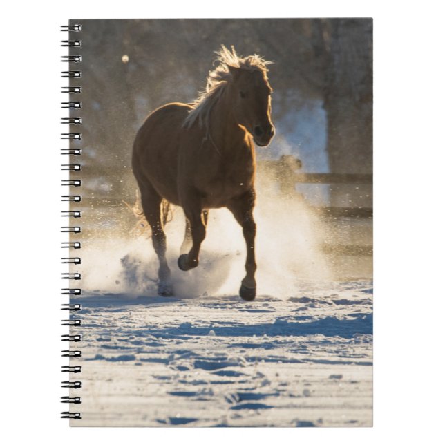 Horse Running Through the Snow Notizblock (Vorderseite)