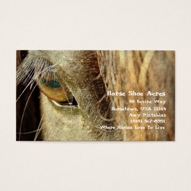 Horse Shoe Acres (Vorderseite)