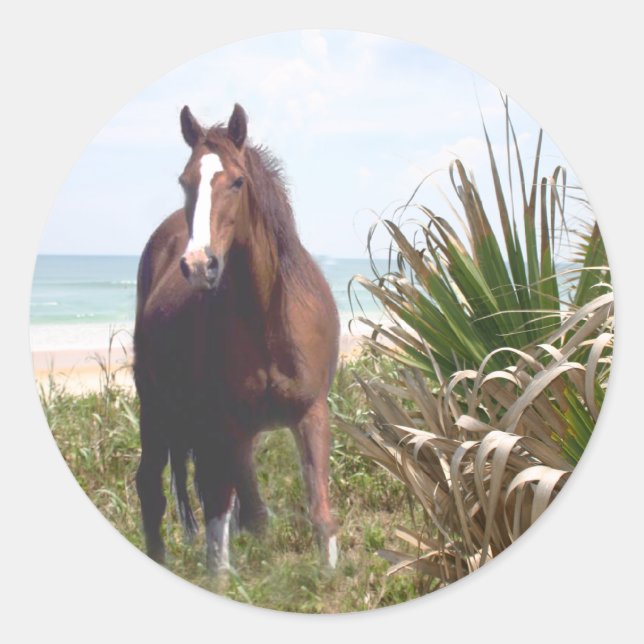 Horse Sticker Beach (Devant)