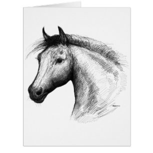 Horse : White