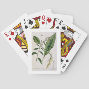 Horseradish, Teller 415 von "A Curious Herbal", pu Spielkarten