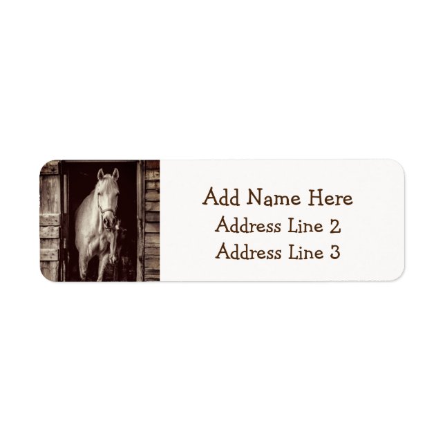 Horses and Rustic Brown Barn (Vorne)