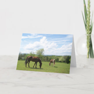 Horses Grazing on Fields Greeting Card Karte