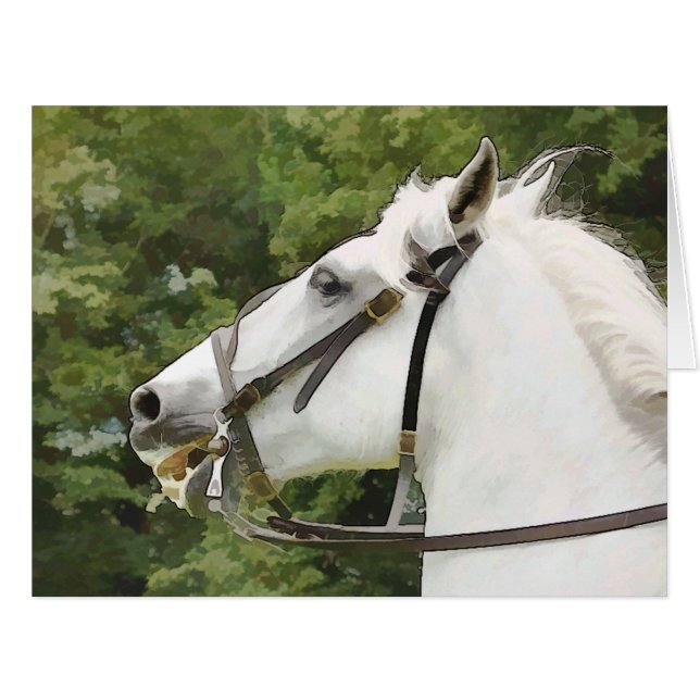 HORSES GREETINGS CARD (Vorderseite (Horizontal))