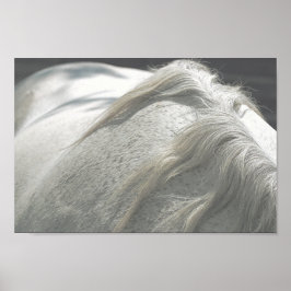 HORSES Mane Flea-Bitten Gray Mare Archival Poster