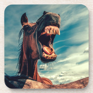 Horse's Mouth Teeth Neigh Wild Horse Animal Getränkeuntersetzer