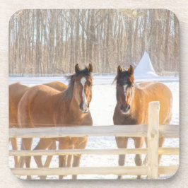 Horses Vermont Winter Hard Plastic Coaster Getränkeuntersetzer