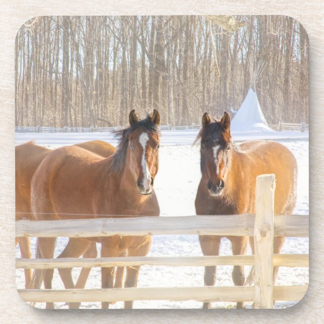 Horses Vermont Winter Hard Plastic Coaster Getränkeuntersetzer (Vorderseite)